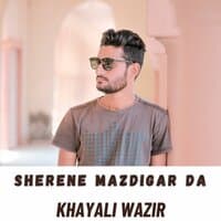 Sherene Mazdigar Da