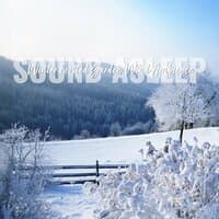 Sound Asleep: Winter Frosted Garden Wind Ambience