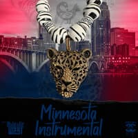 Minnesota Instrumental