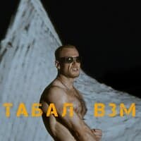 ВЗМ