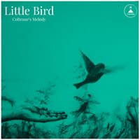 Little Bird-Coltrane’s Melody