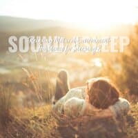 Sound Asleep: Relaxing Natural Environment Ambience for Sleeping 2