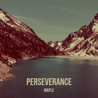 Perseverance