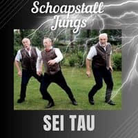 Sei Tau