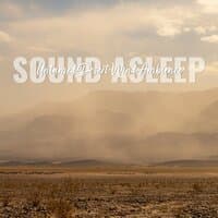 Sound Asleep: Untamed Desert Wind Ambience