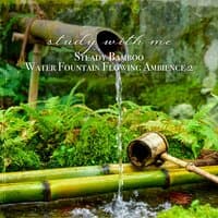 Study with Me: Steady Bamboo Water Fountain Flowing Ambience 2