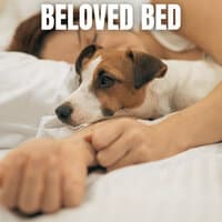 Beloved Bed