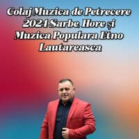 Colaj Muzica de Petrecere 2024 Sarbe, Hore și Muzica Populara Etno Lautareasca