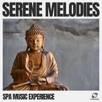 Spa Music Experience