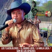 Los Tlacololeros / El Burro Loco / La Mula Loca / Son de los Apaches