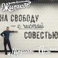 На свободу с чистой совестью. Лучшие песни.