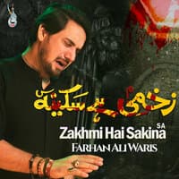 Zakhmi Hai Sakina S A