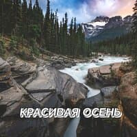 КРАСИВАЯ ОСЕНЬ