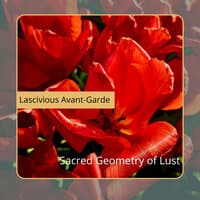 Sacred Geometry of Lust