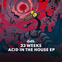 Acid In The House