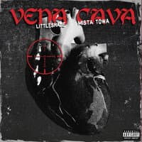 VENA CAVA