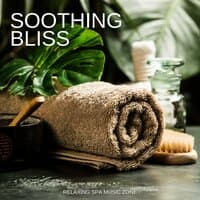 Soothing Bliss: Spa Treatment