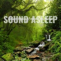 Sound Asleep: Nature's Healing Embrace Soundscape