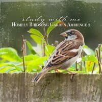 Study with Me: Homely Birdsong Garden Ambience 2