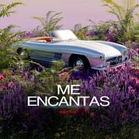 Me Encantas