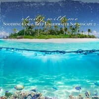 Study with Me: Soothing Coral Reef Underwater Soundscape 2