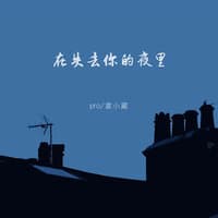 在失去你的夜里