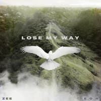 Lose My Way