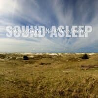 Sound Asleep: Calming Distant Wind Drone Sounds 2