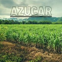 AZUCAR