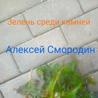 Зелень среди камней