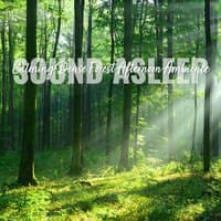 Sound Asleep: Calming Dense Forest Afternoon Ambience