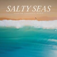 Salty Seas