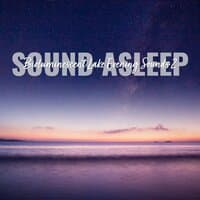 Sound Asleep: Bioluminescent Lake Evening Sounds 2