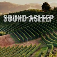 Sound Asleep: Evening Italian Countryside Soundscape 2