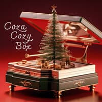 Coza Cozy Box