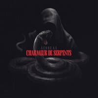 Charmeur De Serpents