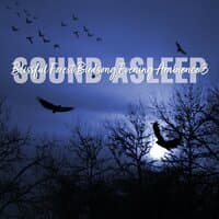 Sound Asleep: Blissful Forest Birdsong Evening Ambience 3