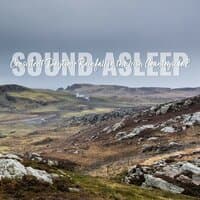 Sound Asleep: Consistent Daytime Rainfall in the Irish Countryside 2