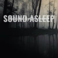 Sound Asleep: Rustic Forest Nighttime Ambience