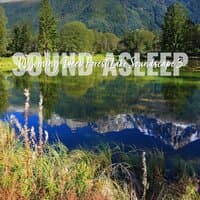 Sound Asleep: Wyoming Deep Forest Lake Soundscape 3