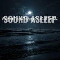 Sound Asleep: Alluring Waves Crashing Sounds at Night 2