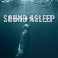 Sound Asleep: Calming Aquatic Underwater Sounds