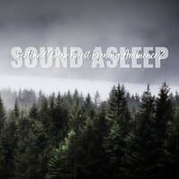 Sound Asleep: Scotland Deep Forest Evening Ambience 2