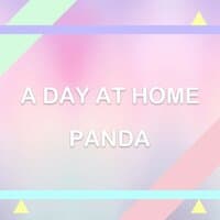 A Day at Home