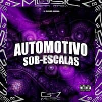 Automotivo Sob-Escalas