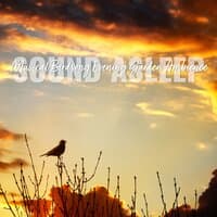 Sound Asleep: Musical Birdsong Evening Garden Ambience