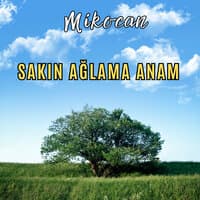 Sakın Ağlama Anam