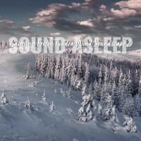 Sound Asleep: Calming Frozen Tundra Wind Soundscape 2