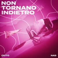 Non tornano indietro