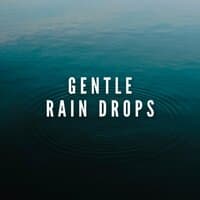 Gentle Rain Drops